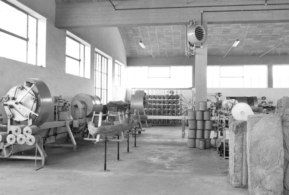 scourtins pour moulin à huile pour l’extraction de l’huile