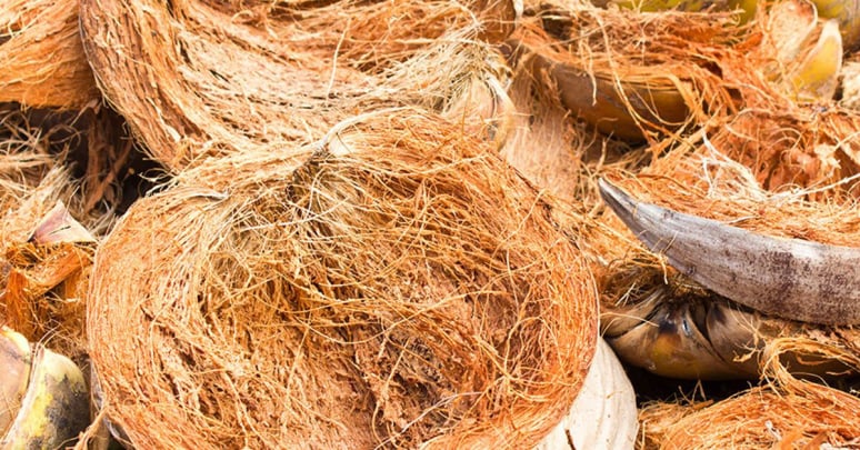 Évolution des matériaux des scourtins pour l’extraction de l’huile